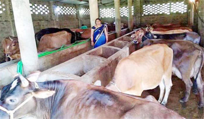 डेयरी व्यवसाय अपनाकर पूजा बनी आत्मनिर्भर