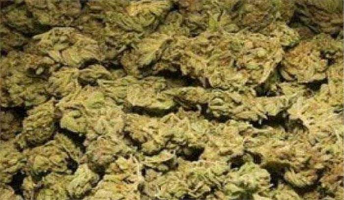 बिहार :वैन से 70 किलोग्राम गांजा बरामद