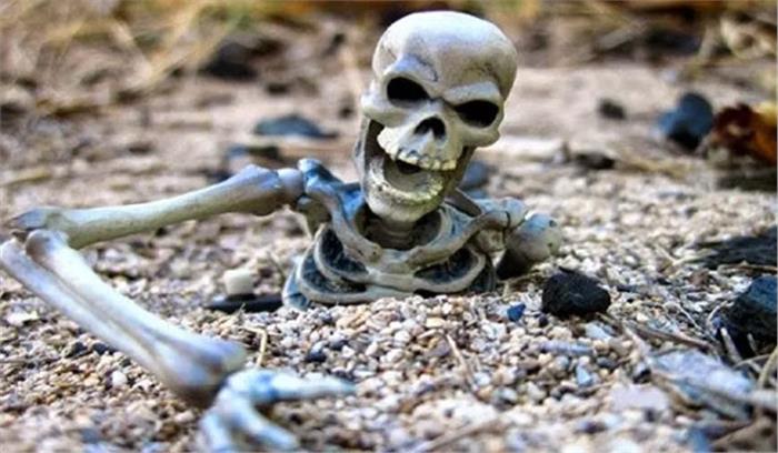 केदारनाथ आपदा : 21 नर कंकाल बरामद केदारनाथ आपदा : 21 नर कंकाल बरामद