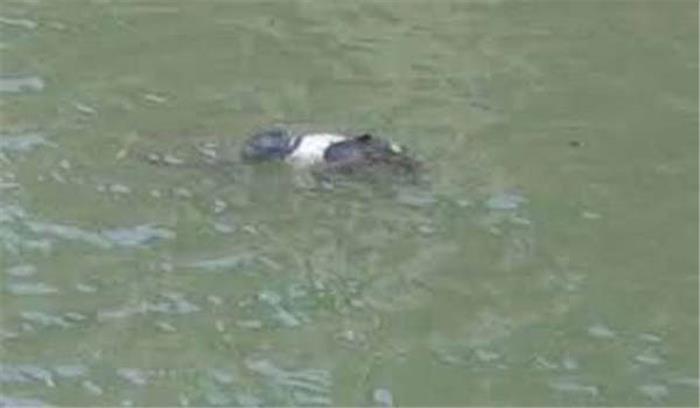 पत्रकार के पुत्र की डूबने से मौत