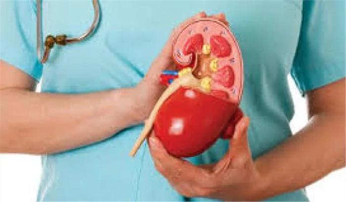 दिल्ली : महिला दिवस पर गुर्दा परीक्षण मात्र 8 रुपये में