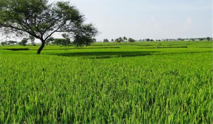 कृषि वैज्ञानिक प्रोफेसर वार्ष्णेय को मिला बिड़ला पुरस्कार