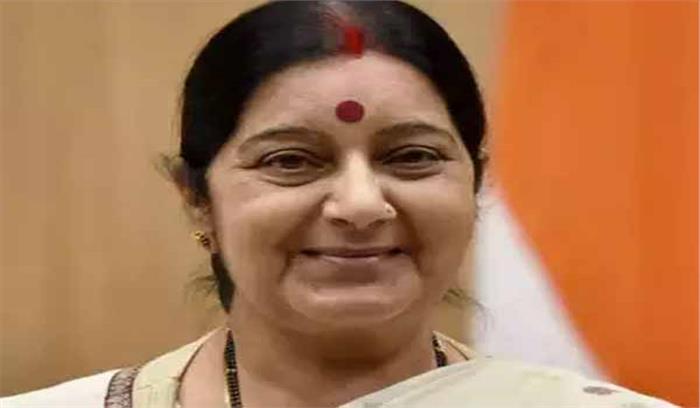 भारत दौरे पर आई नॉर्वे की प्रधानमंत्री से सुषमा स्वराज ने की मुलाकात