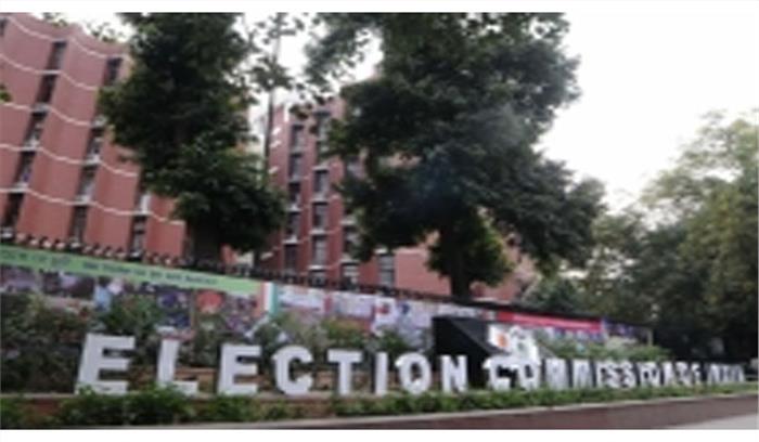 दिल्ली चुनाव : संहिता उल्लंघन की 228 एफआईआर दर्ज, आप पर फिर 13 मामले