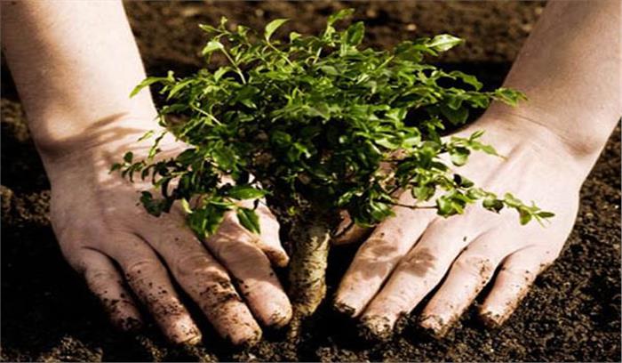 मानसून में लगाए जाएंगे 20 लाख पौधे 