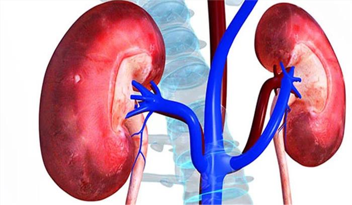 तेजी से बढ़ रहे किडनी के रोगी