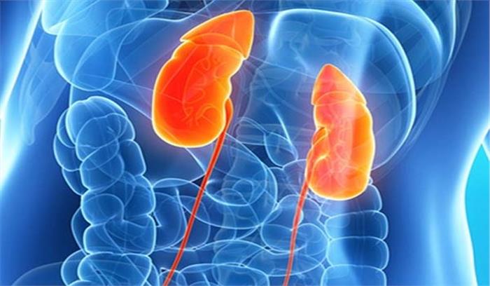 दिल्ली : महिला का तीसरी बार सफल गुर्दा प्रत्यारोपण