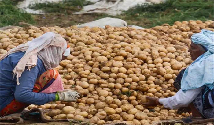 दिल्ली में उतरा नया आलू, दिवाली के बाद दाम घटने की उम्मीद