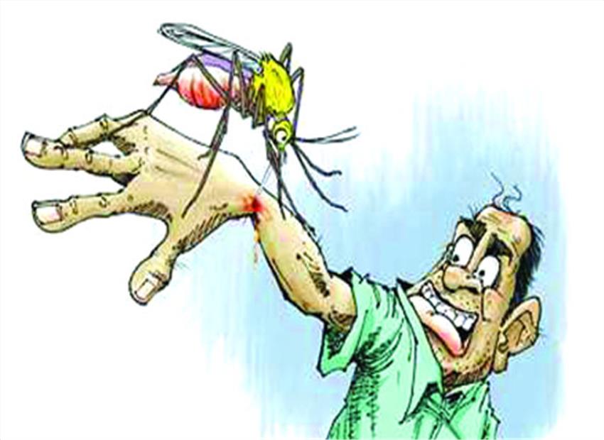 डेंगू की रोकथाम के लिए नये दिशा निर्देश जारी