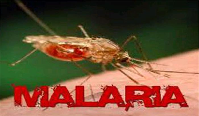 डेंगू को पछाड़ मलेरिया निकला आगे, इस हफ्ते सामने आए 125 मामले 