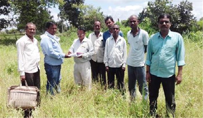 मोहरा में फसल निरीक्षण करने खेतों में पहुंचे पटवारी