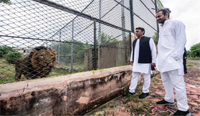 देश में वैमनस्य फैला रही है भाजपा : अखिलेश