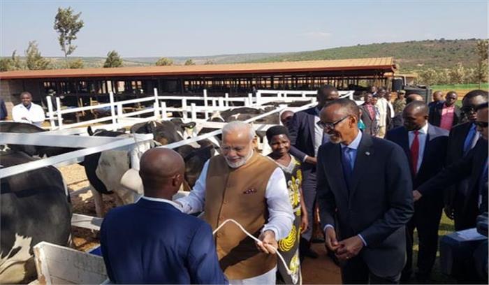 रवांडा की आर्थिक विकास परियोजना के लिए पीएम मोदी ने 200 गायों को दान में दिया