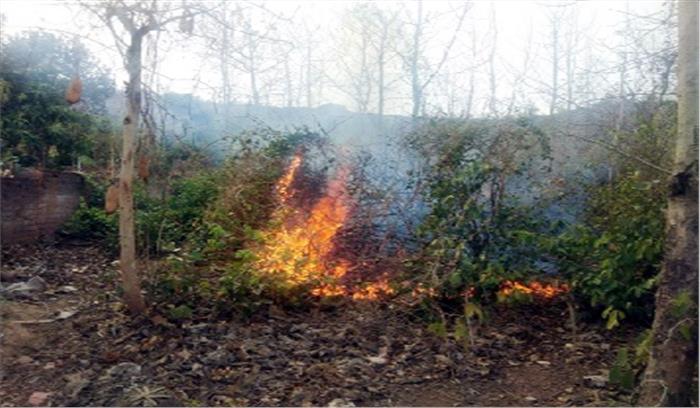 धोबिया पहाड़ में भीषण आग
