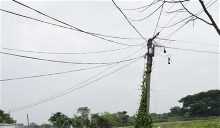 बिजली की चपेट में आने से दो दर्जन गोवंश की मौत