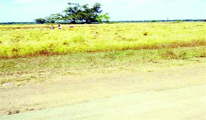 अतिक्रमित भूमि पर लगी फसल पर नहीं हो रही कार्रवाई