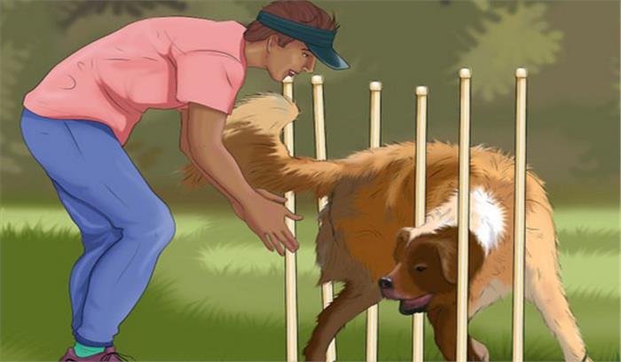 इंदौर: खुले में कुत्ते को शौच कराना पड़ा भारी