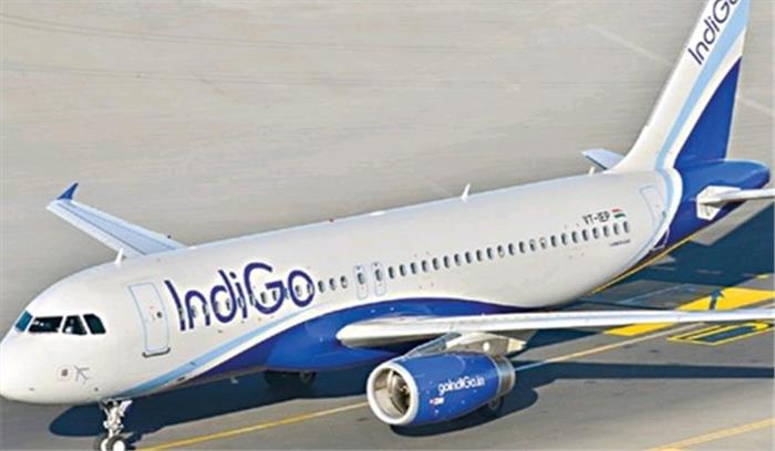 घरेलू विमान कंपनियों में इंडिगो सबसे आगे रही घरेलू विमान कंपनियों में इंडिगो सबसे आगे रही