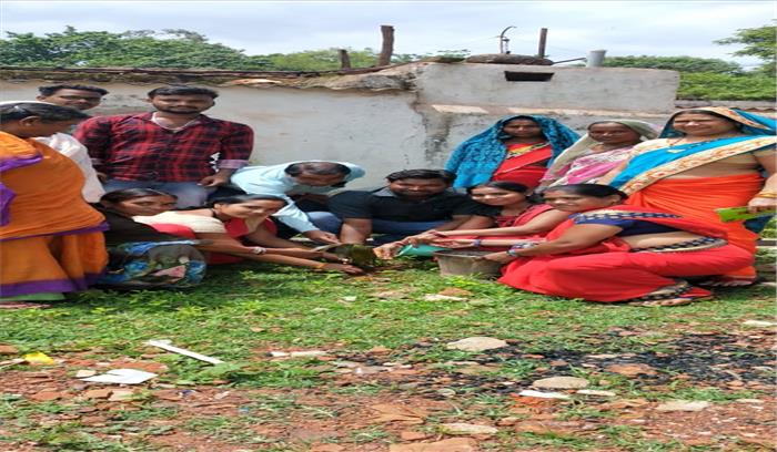 दल्लीराजहरा : आंगनबाड़ी के बाड़ी में वृक्षारोपण