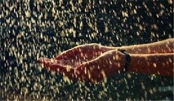 पूर्वी मध्यप्रदेश में बारिश के आसार