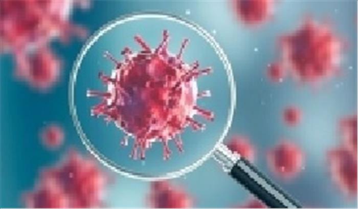 लॉकडाउन के दौरान भी केरल में मिलती रही मछली लॉकडाउन के दौरान भी केरल में मिलती रही मछली