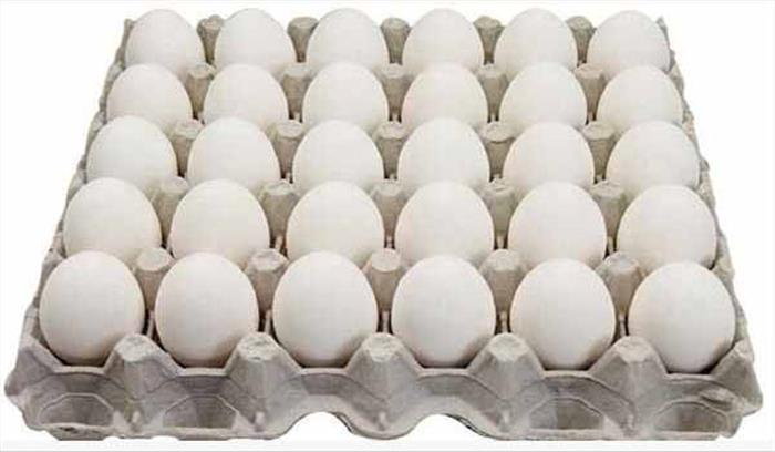 चिकन से भी महंगा हुआ अंडा