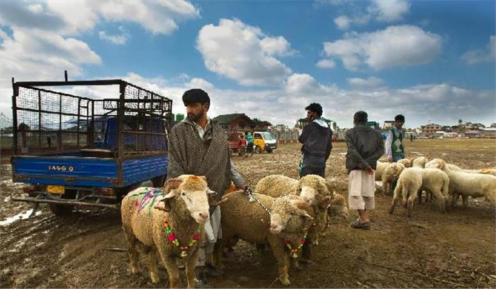 कश्मीर में ईद-उल-अजहा की तैयारियां जोरों पर