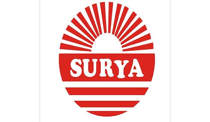 सूर्या रोशनी को ईईएसएल से मिला 50.34 करोड़ का ऑर्डर