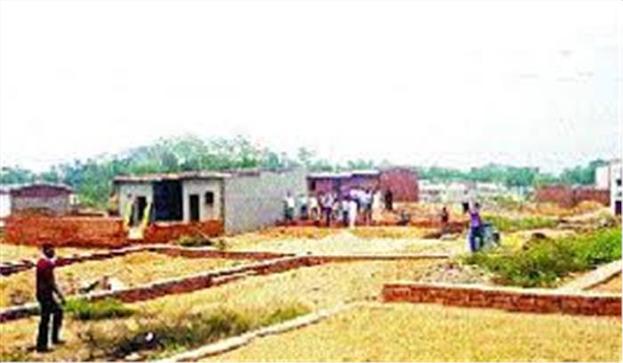 सागौन प्लांटेशन का सफाया, भूमि पर कब्जा