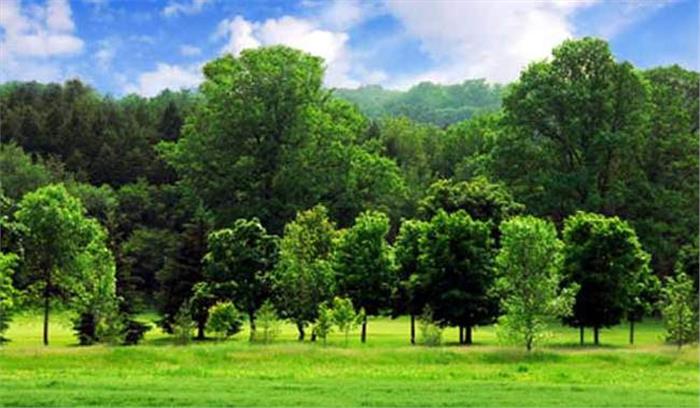 पर्यावरण संरक्षण की अनूठी पहल, कचरा लेकर पैसे देगी गुजरात की कंपनी पर्यावरण संरक्षण की अनूठी पहल, कचरा लेकर पैसे देगी गुजरात की कंपनी