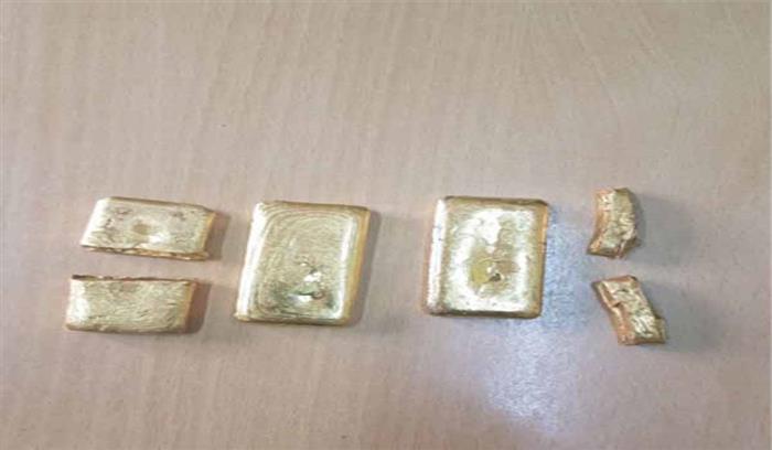 सोना और 10 लाख रुपये नकदी के साथ 1 व्यक्ति गिरफ्तार