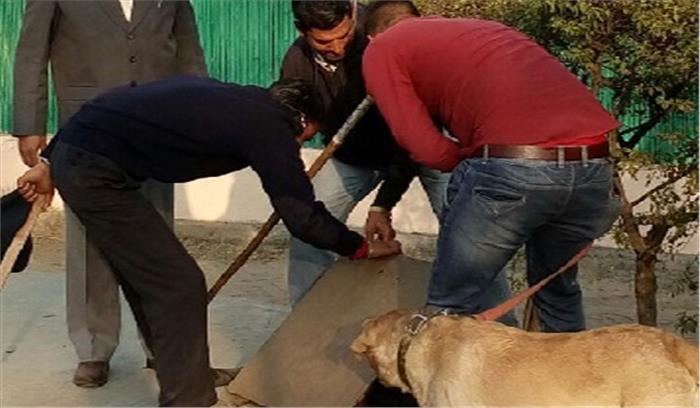 खोजी कुत्ता भी नहीं लगा पाया हत्यारे का सुराग