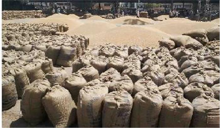 खरीद एजेंसियों द्वारा गेहूं न खरीदने से किसान परेशान