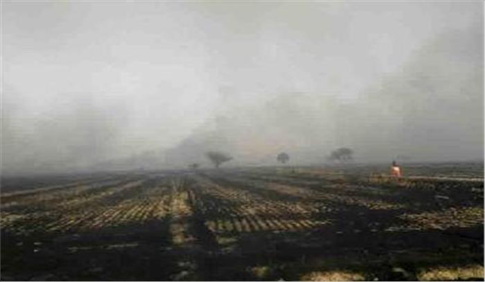 खेतों में लगी आग से फसल जलकर खाक
