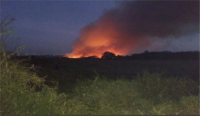 बेंगलुरु की बेलांदुर झील में लगी आग पर काबू पाया