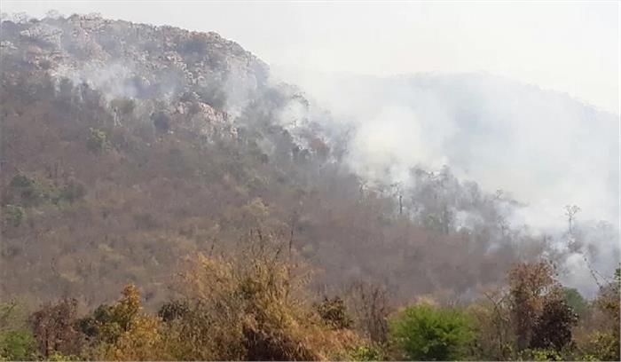 गर्मी आते ही जंगल में लग रही आग