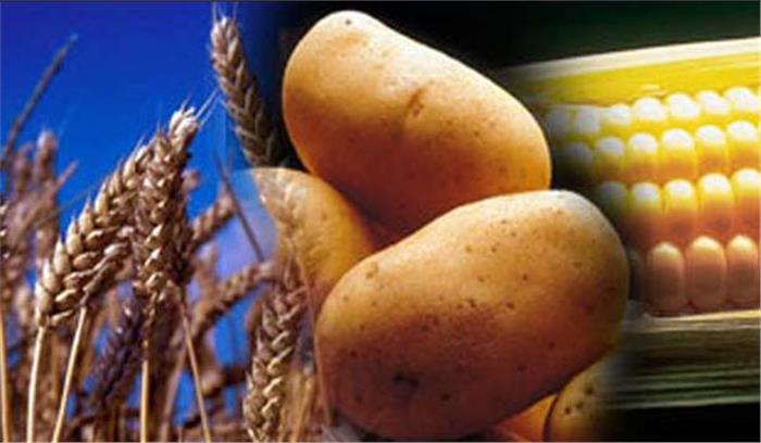 भोजन में कार्बोहाइड्रेड ज्यादा लेने से दोबारा कैंसर का खतरा भोजन में कार्बोहाइड्रेड ज्यादा लेने से दोबारा कैंसर का खतरा