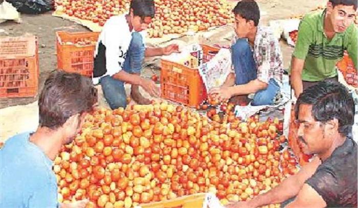 खाद्य मंत्री ने की टमाटर के महंगे होने पर बैठक, दामों पर रखी जाएगी नज़र