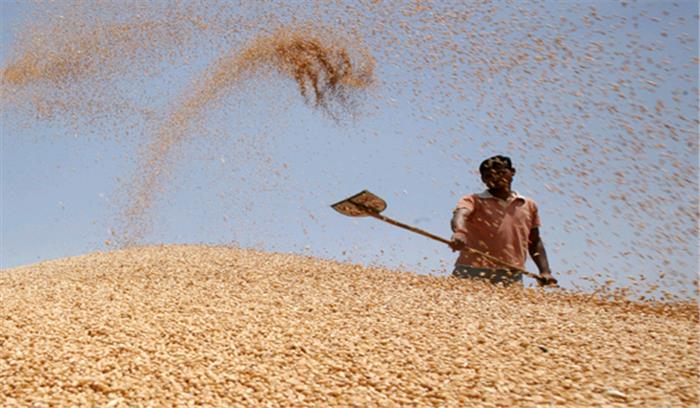 खाद्यान्न उत्पादन 27.56 करोड़ टन रहने का अनुमान व्यक्त