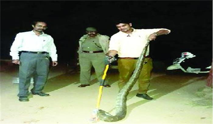 जब तक नहीं बनेगा रेस्क्यू सेंटर मरते रहेंगे वन्यप्राणी