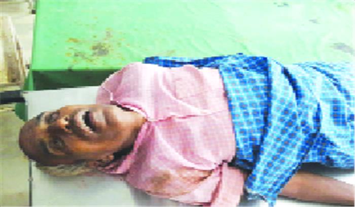 दो ग्रामीणों पर भालू का हमला एक की मौत, दूसरा गंभीर दो ग्रामीणों पर भालू का हमला एक की मौत, दूसरा गंभीर