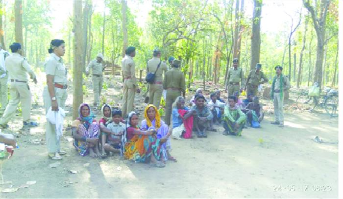 वन क्षेत्रों में अतिक्रमण करने वाले 17 गिरफ्तार