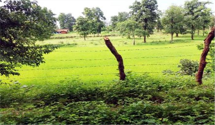 गोचर भूमि पर कर लिया कब्जा
