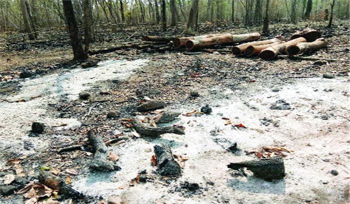 डीएफओ व एसडीओ को निलंबित करने की मांग डीएफओ व एसडीओ को निलंबित करने की मांग