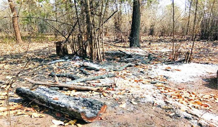 कूप कटाई में भी राशि की बंदरबांट