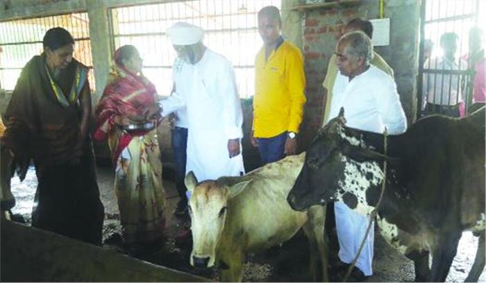 पूर्व मंत्री माधव सिंह ध्रुव ने किया गौशाला का निरीक्षण
