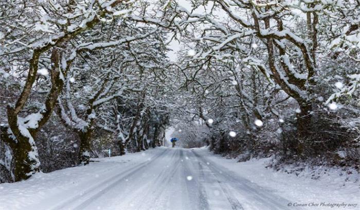मनाली की पहाड़ियों पर बर्फबारी