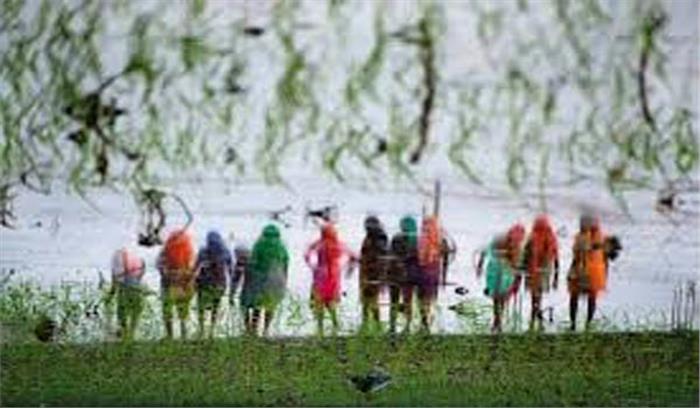 जल संरक्षण हेतु गन्नौर में मक्का की खेती का प्रयोग सफलता की ओर