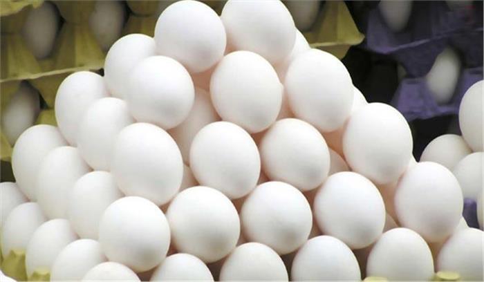 गरियाबंद में मिले प्लास्टिक के अंडे !!!