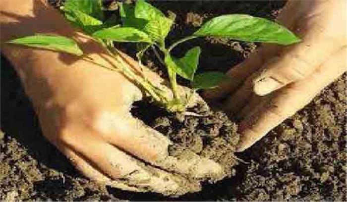 आज का पौधरोपण आने वाली पीढ़ी के लिए खुशहाली लाएगा